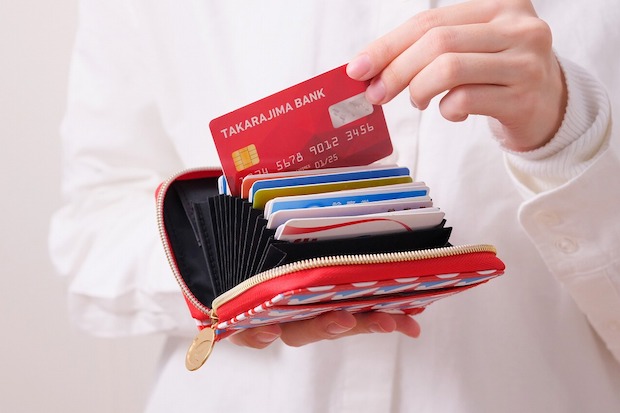 イトーヨーカドー たっぷりカードが収納できるミニ財布