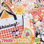 ちゃお 2026年 3月号 雑誌 付録 [シャイニング！春色チェック 2WAYバッグ]