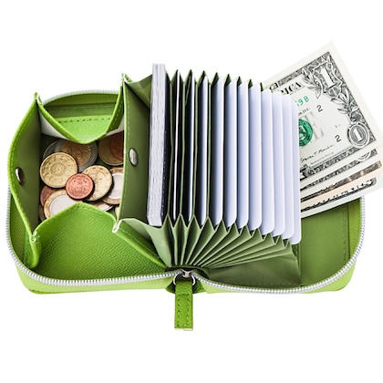 THE SCAPE OF GREEN やみつきサイフ APPLE GREEN