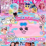 Aneひめ vol.20 雑誌 付録 [おぱんちゅうさぎ　ふわもこヘアターバン][Aneひめオリジナル　日焼けキティシール]